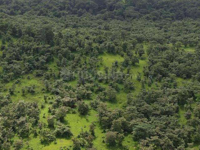 Land for sale in Raigad, Maharashtra