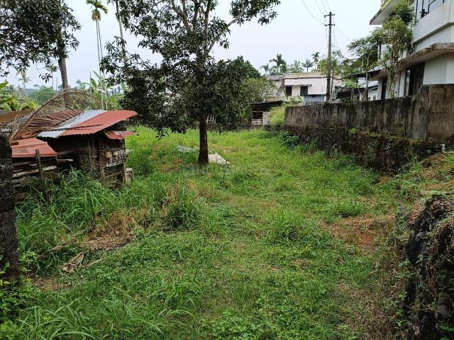 Land for sale in Kerala