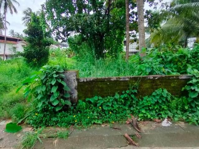 Land for sale in Thrissur, Kerala