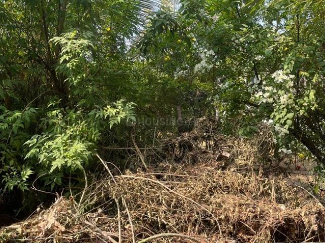 Land for sale in Gujarat