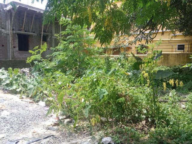 Land for sale in North 24 Parganas, Bhatpara