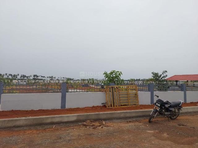 Land for sale in Pamarru, Krishna