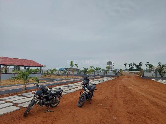 Land for sale in Pamarru, Krishna