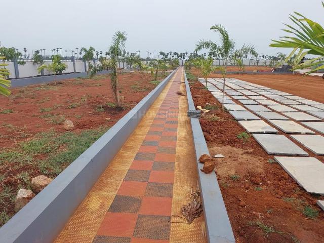 Land for sale in Pamarru, Krishna