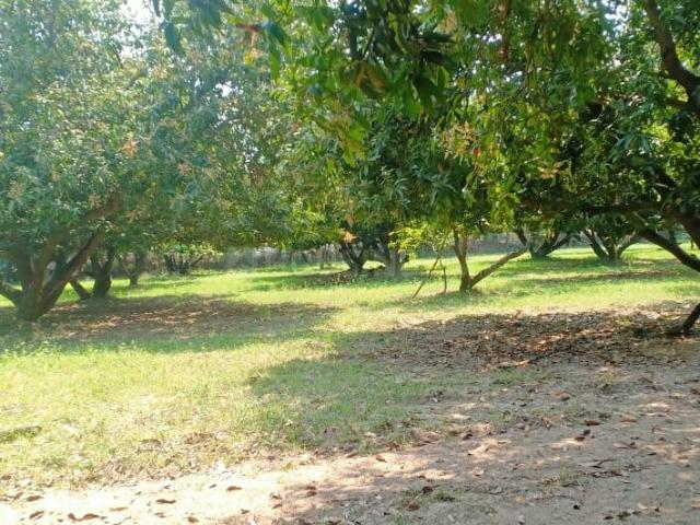 Land for sale in Sholinganallur - Chennai, Tamil Nadu