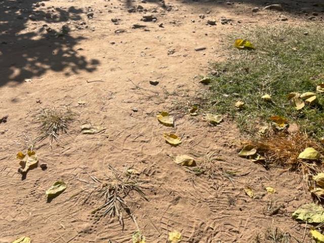 Land for sale in Hariana