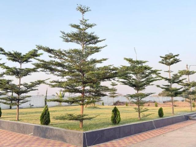 Land for sale in Madya