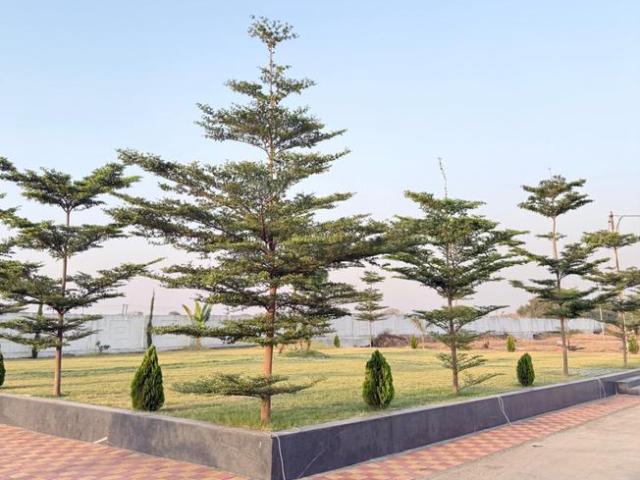 Land for sale in Madya