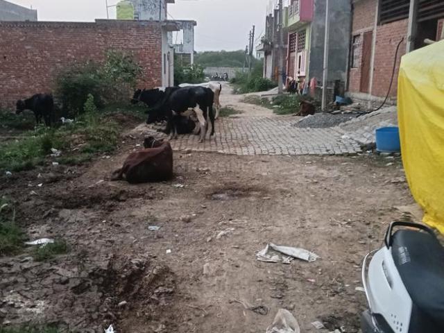 Land for sale in Lucknow, Uttar Pradesh