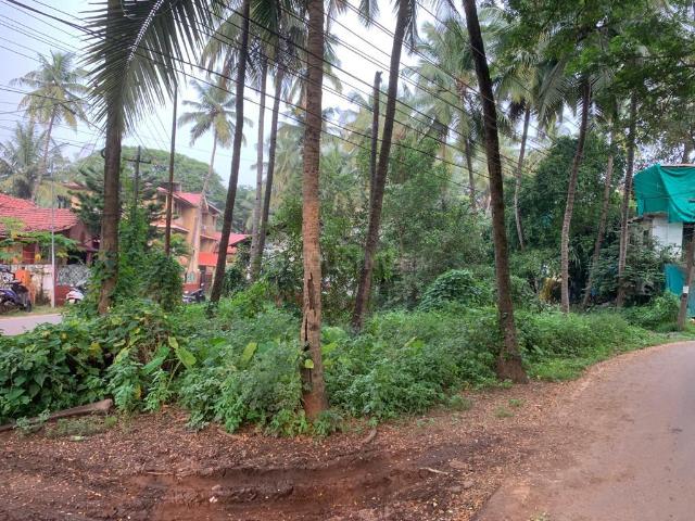 Land for sale in Nova Goa, Goa