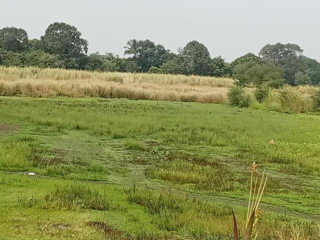 Land for sale in National Capital Territory Of Delhi
