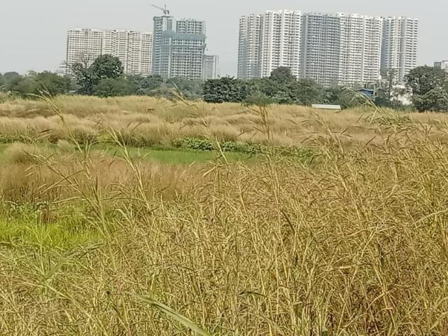 Land for sale in National Capital Territory Of Delhi