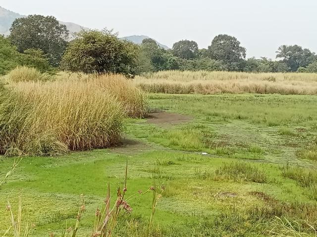 Land for sale in National Capital Territory Of Delhi