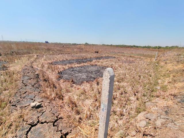 Land for sale in Somatne, Raigad