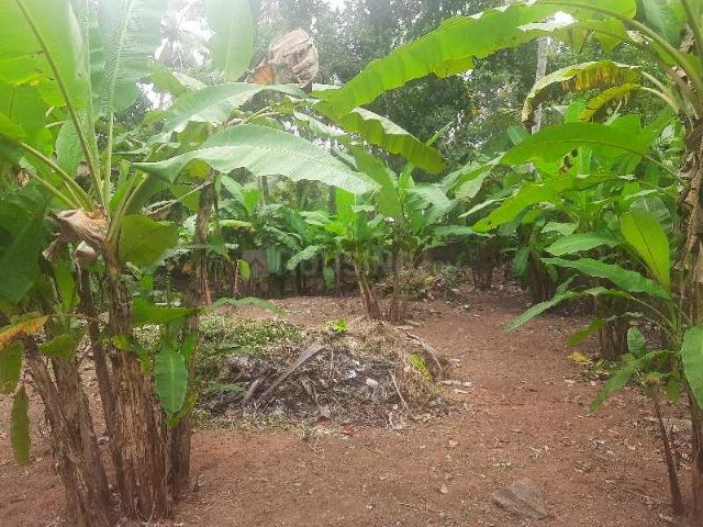Land for sale in Trivandrum