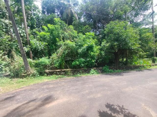 Land for sale in Thrissur, Kerala