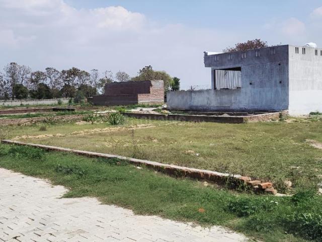 Land for sale in Mathara, Arunachal Pradesh