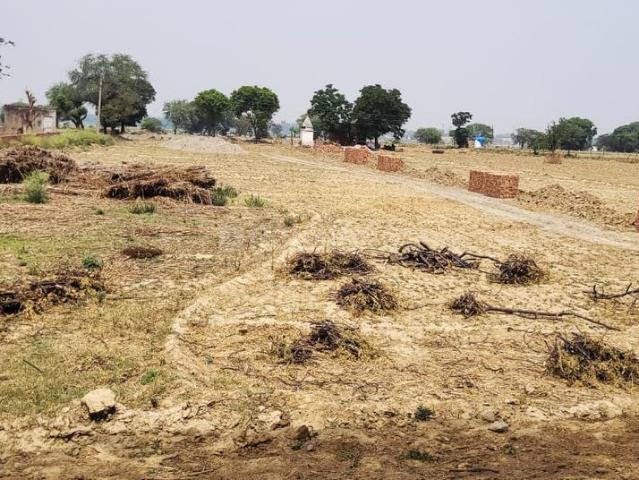 Land for sale in Mathara, Arunachal Pradesh