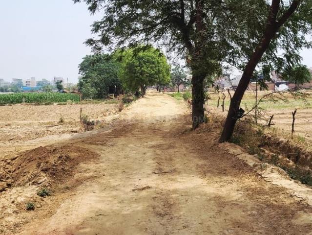 Land for sale in Mathara, Arunachal Pradesh