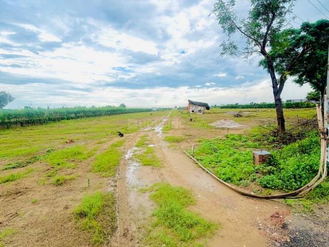 Land for sale in Pataudi, Gurugram
