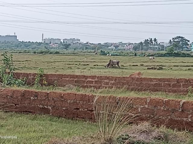 Land for sale in Khandagiri