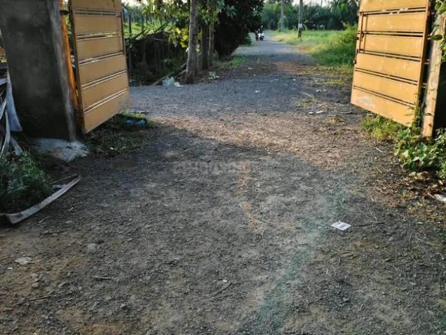 Land for sale in Pavaru, Kakinada