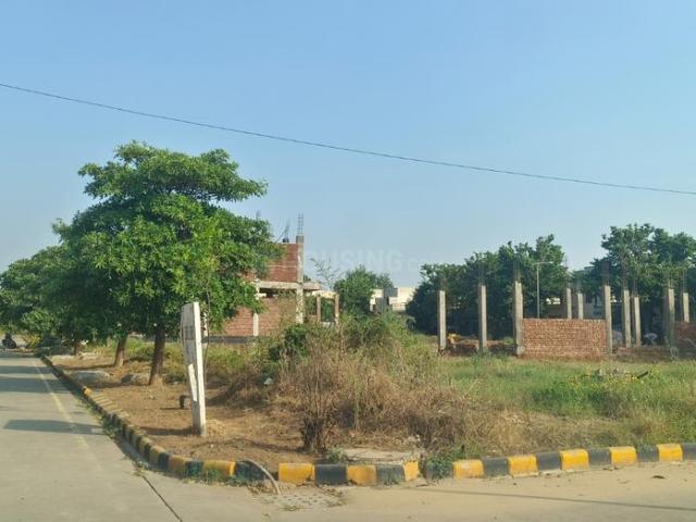Land for sale in Rambas, Shekhpur Aheer