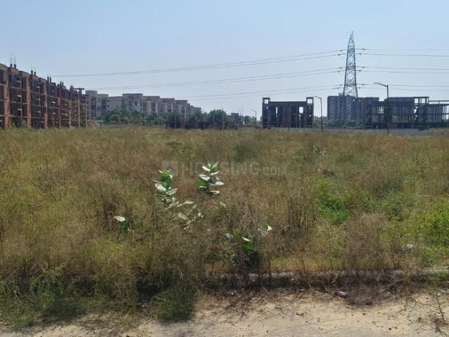 Land for sale in Timliawas, Shekhpur Aheer