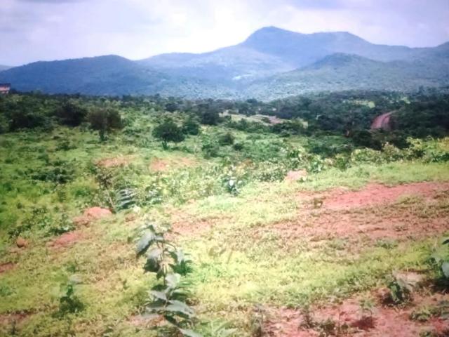 Land for sale in Pen, National Capital Territory Of Delhi