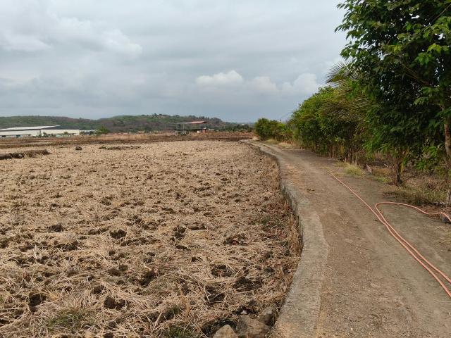 Land for sale in Pen, National Capital Territory Of Delhi