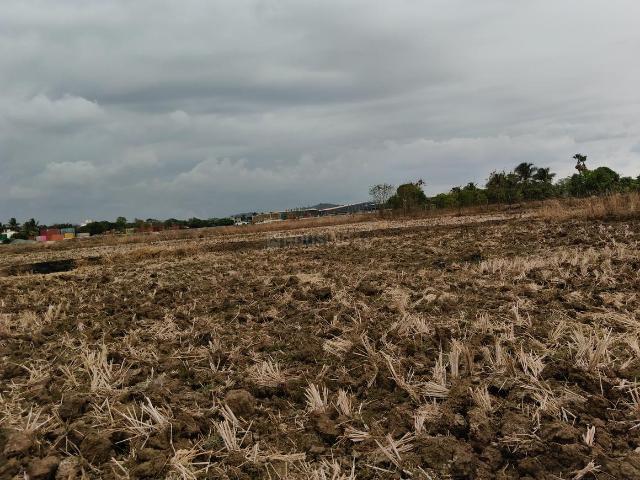Land for sale in Pen, National Capital Territory Of Delhi
