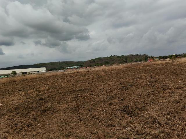 Land for sale in Pen, National Capital Territory Of Delhi