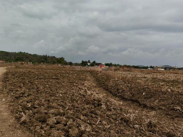 Land for sale in Pen, National Capital Territory Of Delhi