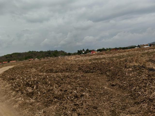Land for sale in Pen, National Capital Territory Of Delhi
