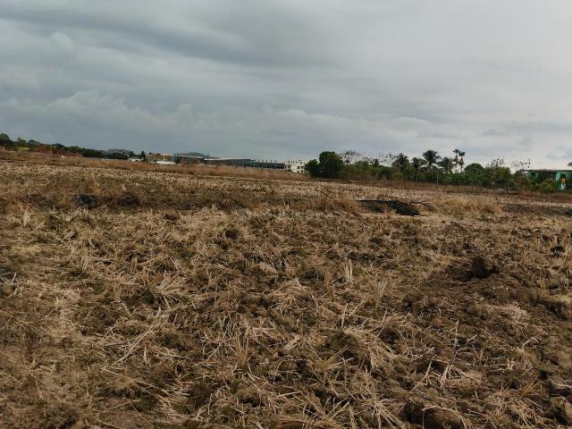 Land for sale in Pen, National Capital Territory Of Delhi