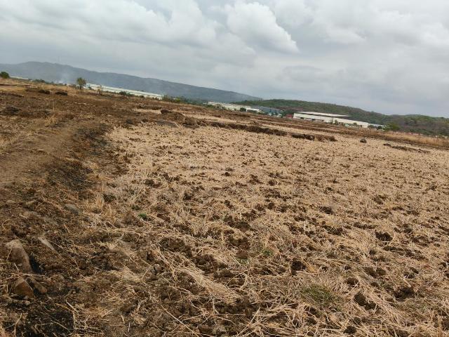 Land for sale in Pen, National Capital Territory Of Delhi