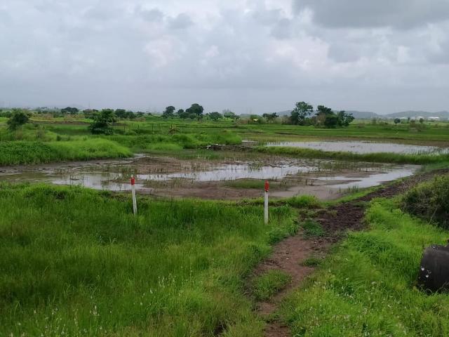 Land for sale in Pen, Raigad