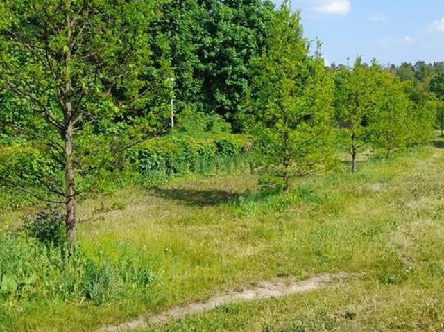 Land for sale in Pen, Raigad