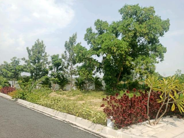 Land for sale in Karnataka