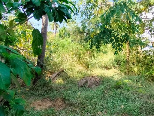 Land for sale in Thrissur, Kerala