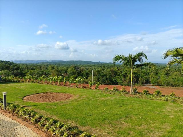 Land for sale in Goa