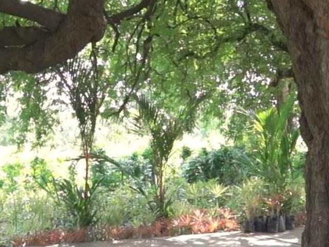 Land for sale in National Capital Territory Of Delhi