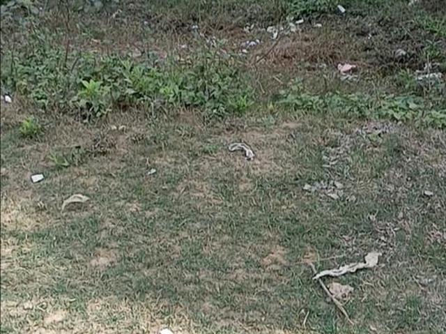 Land for sale in Soraon, Arunachal Pradesh