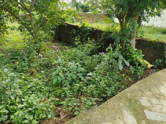 Land for sale in Bhubaneshwar