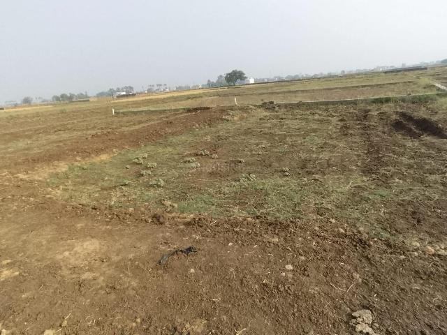 Land for sale in Bihar