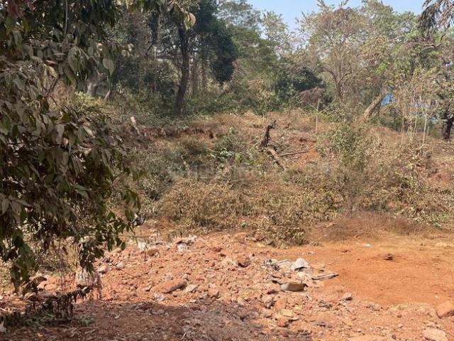 Land for sale in Pilerne, Goa