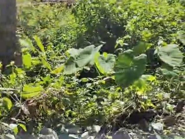 Land for sale in Pilerne, Goa