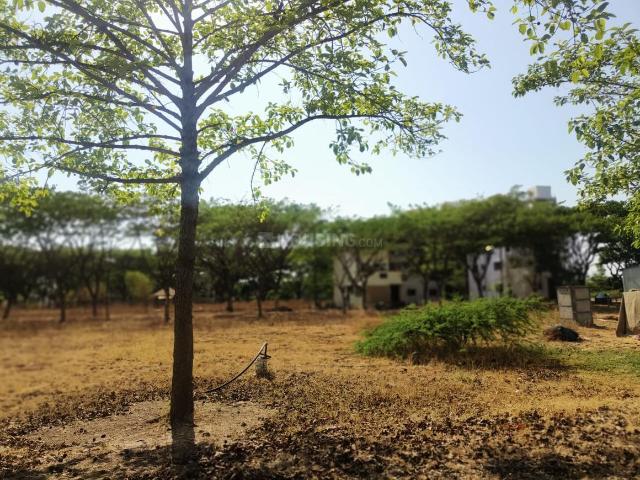 Land for sale in Pimpalgaon-basvant, National Capital Territory Of Delhi