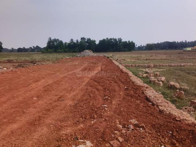 Land for sale in Puri District