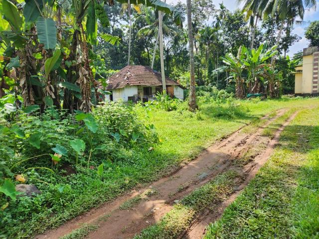 Land for sale in Piravam, Kerala